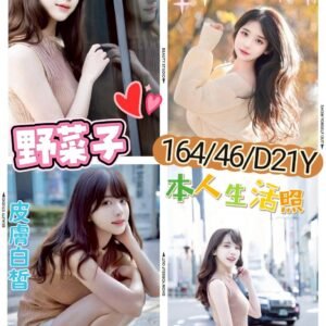 台北外送茶-日本野菜子