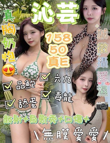 梧棲區定點茶-馬來沁芸24Y 158 50 E-台中定點茶