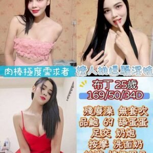 北港定點茶-馬來布丁25Y 169 50 D-雲林定點茶