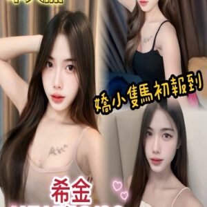 梧棲區定點茶-馬來希金20Y 151 45 真C-台中定點茶