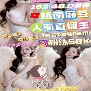 北區定點茶-越南潘朵拉25Y 162 48 D-台中定點茶