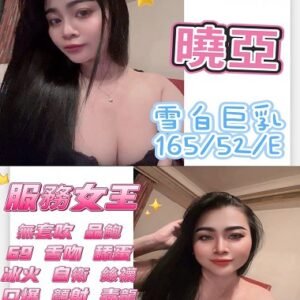 北區定點茶-馬來曉亞24Y 165 52 E-台中定點茶