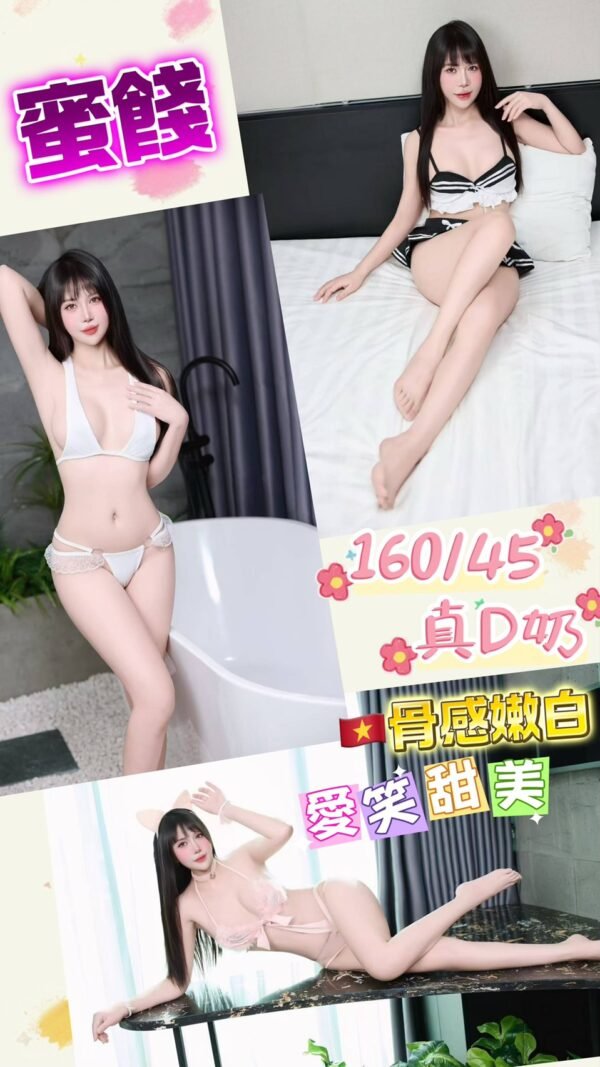 台北定點茶-越南蜜餞