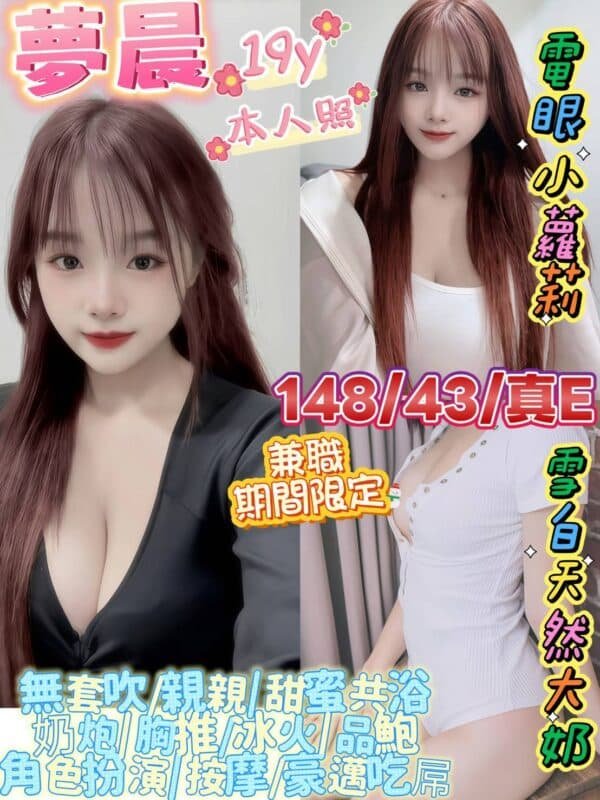 台北定點茶-馬來夣晨