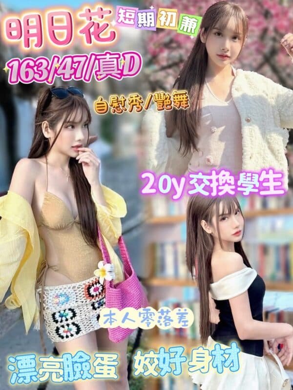 台北定點茶-馬來明日花