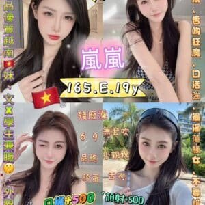 新北定點茶-越南嵐嵐