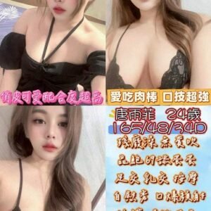 北港定點茶-馬來唐雨菲24Y 165 48 D-雲林定點茶