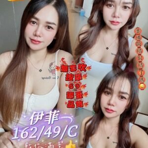 東港定點茶-馬來伊菲24Y 162 49 C-屏東定點茶