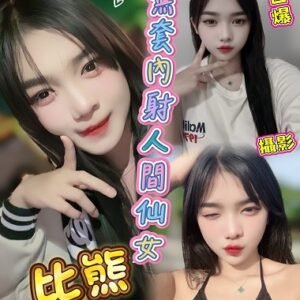 西屯區定點茶-馬來比熊24Y 160 47 真D-台中定點茶