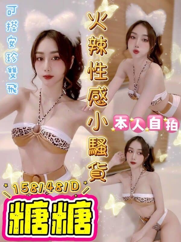 北區定點茶-越南糖糖24Y 156 45 D-台中定點茶