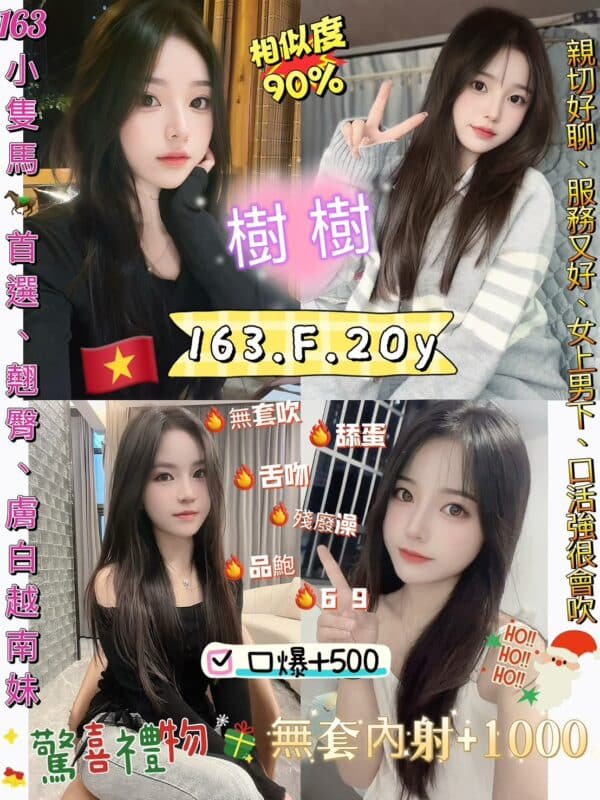 台北定點茶-越南樹樹