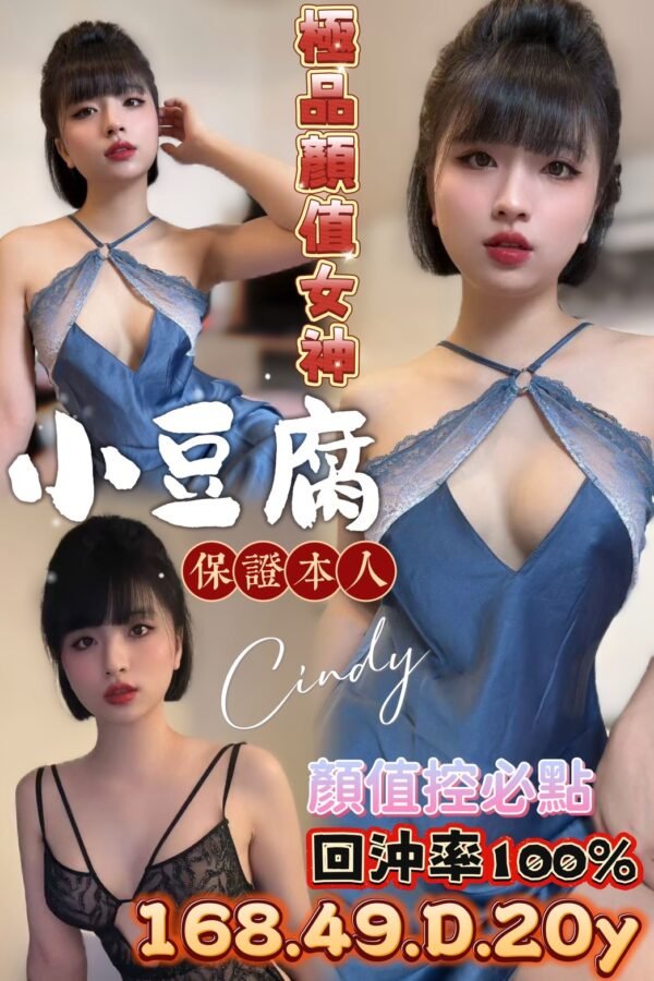 台南定點茶-越南小豆腐