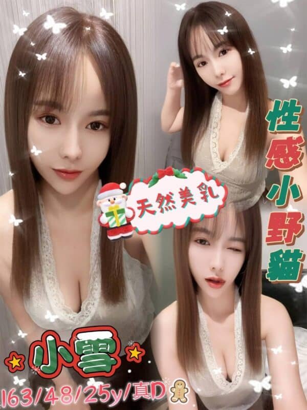 新北定點茶-泰國小雪