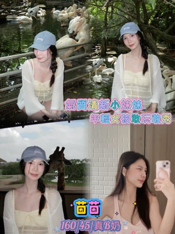 新北定點茶-泰國茵茵