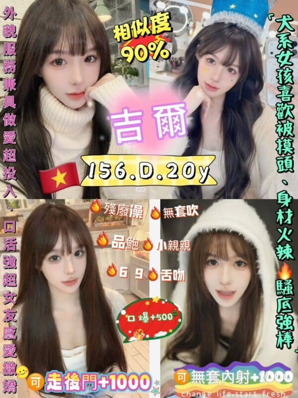 新北定點茶-越南吉爾