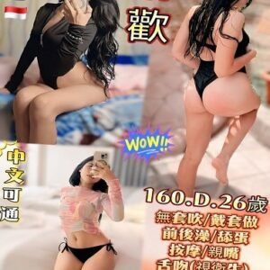 中區定點茶-印尼清歡26Y 160 45 D-台中定點茶