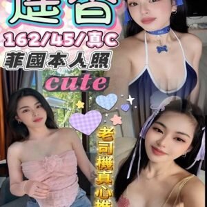 北區定點茶-馬來遙香24Y 162 45 真C-台中定點茶