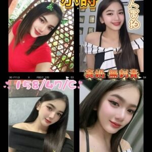 外送茶-馬來小詩24Y 157 47 C-屏東外送茶