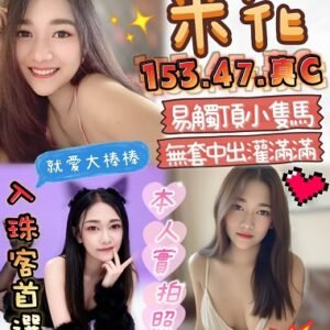 斗六定點茶-馬來米花24Y 153 47 真C-雲林定點茶