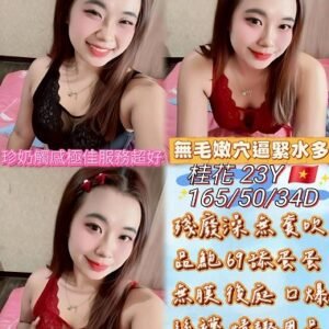 麥寮定點茶-越南桂花23Y 165 50 D-雲林定點茶