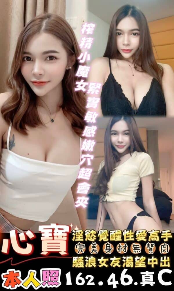 善化區定點茶-馬來心寶 24Y 162 46 真C-台南定點茶