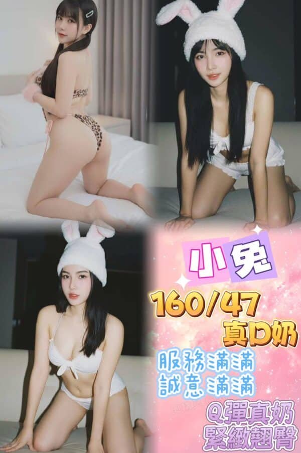 新北定點茶-泰國小兔