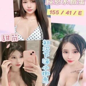 員林定點茶-馬來甜筒19Y 155 41 E-彰化定點茶