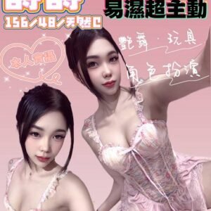 定點茶-馬來詩詩23Y 156 48 C-屏東定點茶