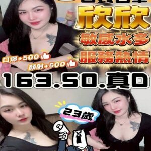 斗六定點茶-馬來欣欣24Y 163 50 真D-雲林定點茶