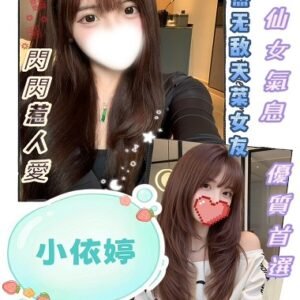 北區定點茶-台灣小依婷22Y 160 46 C-台中定點茶