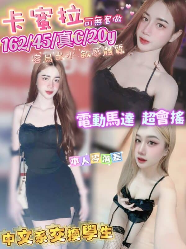 台北定點茶-馬來卡蜜拉