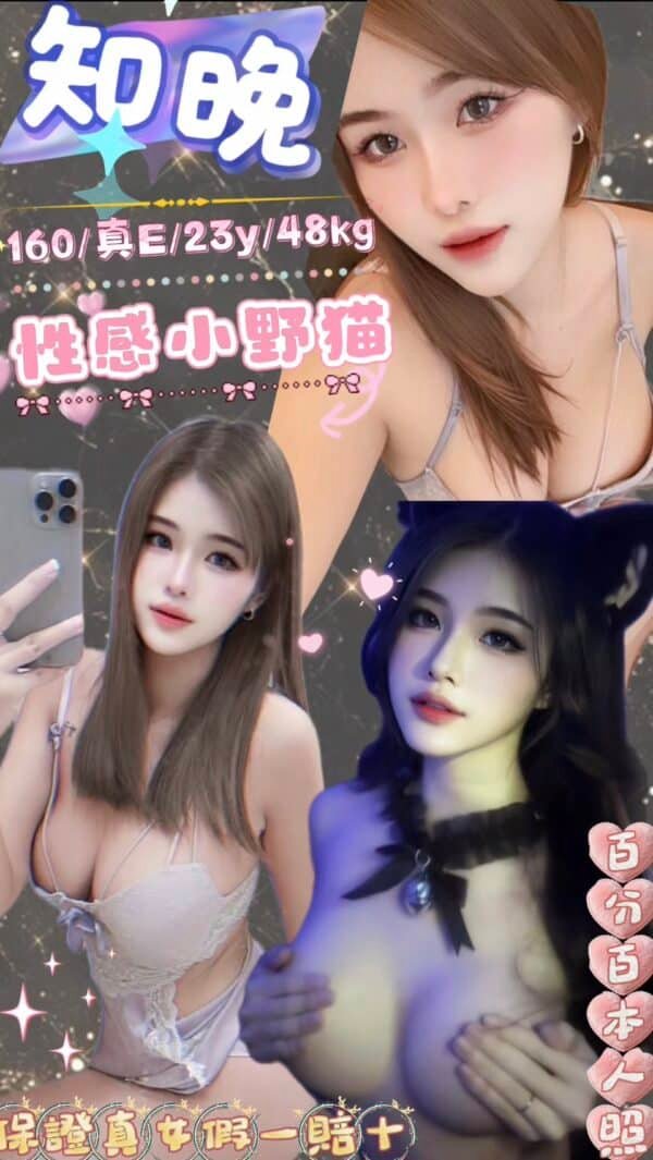 台北定點茶-馬來知晚