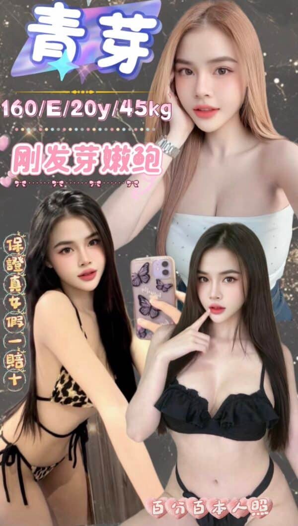 台北定點茶-馬來青芽