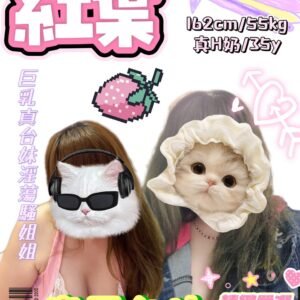 新北定點茶-台灣 紅葉