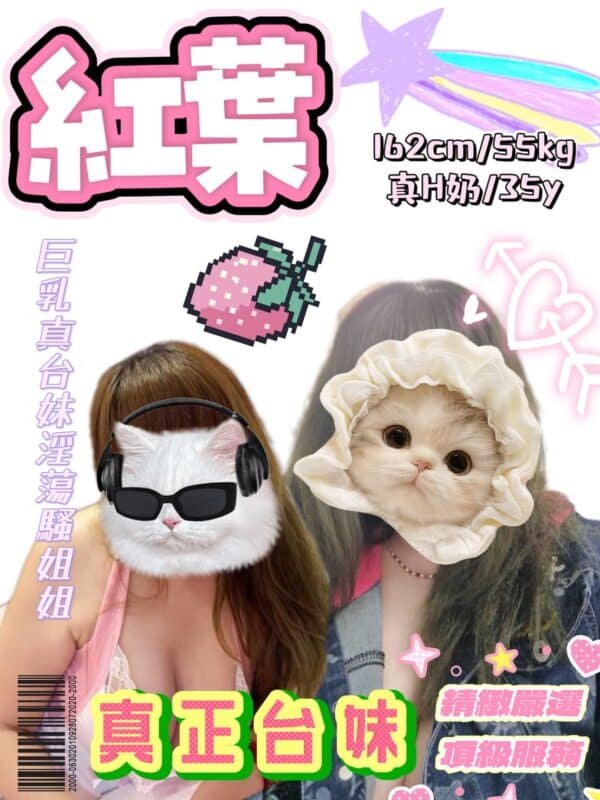 新北定點茶-台灣 紅葉