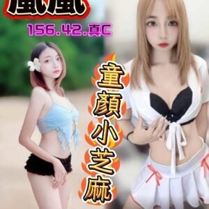 西屯區定點茶-馬來嵐嵐24Y 156 42 真C-台中定點茶