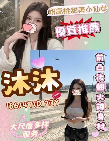 北區定點茶-台灣沐沐23Y 166 47 D -台中定點茶