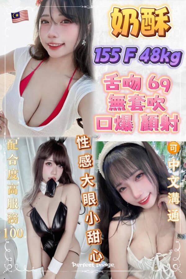 新北定點茶-馬來奶酥